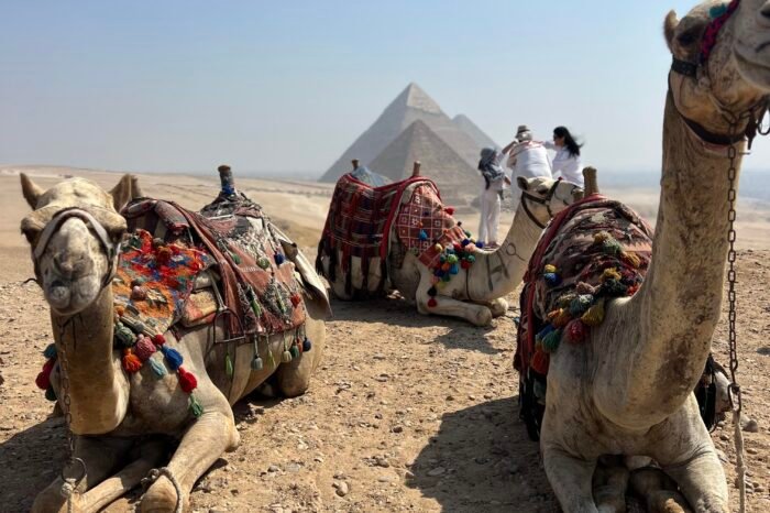 Cairo by bus over day trip